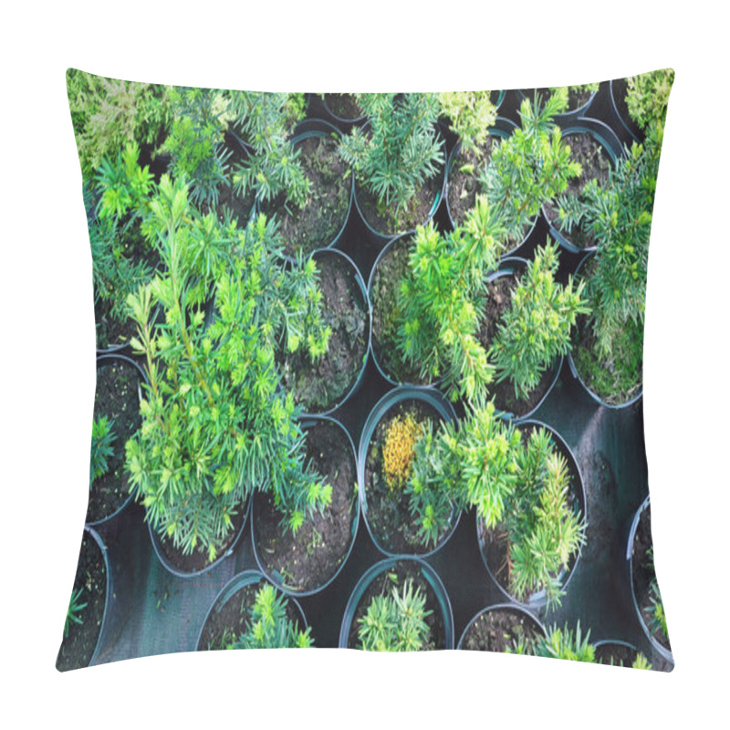 Personality  Black Pots With Seedlings Pillow Covers