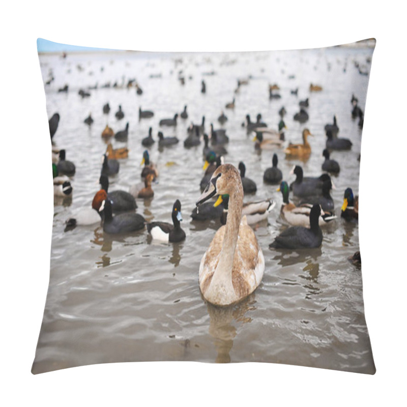 Personality  Birds On Winter Lake . Swans, Ducks And Seagulls Pillow Covers