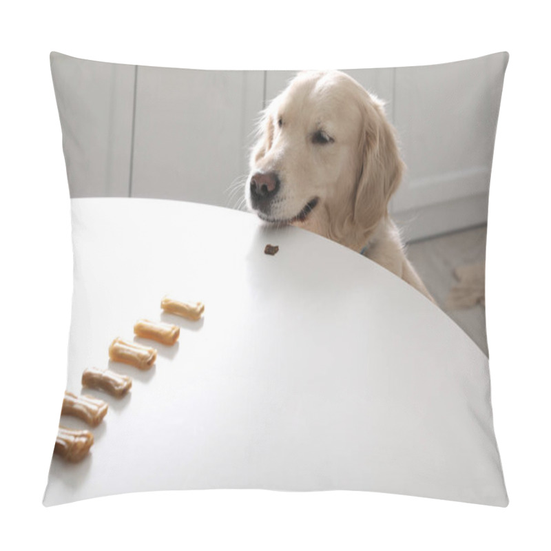 Personality  Cute Golden Retriever At Table With Dog Biscuits In Kitchen Pillow Covers