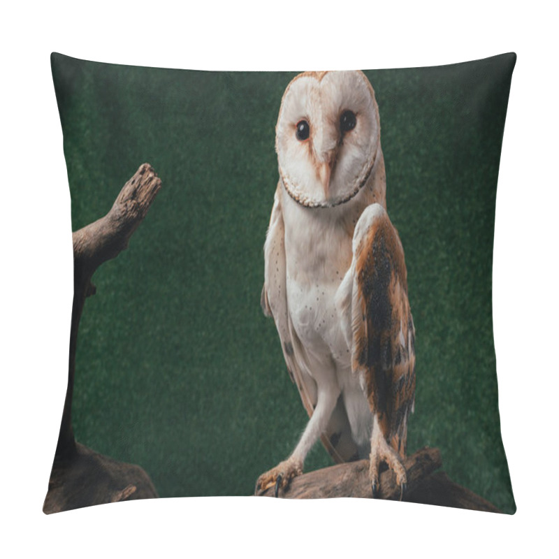 Personality  Cute Wild Barn Owl On Wooden Branch On Green Background Pillow Covers