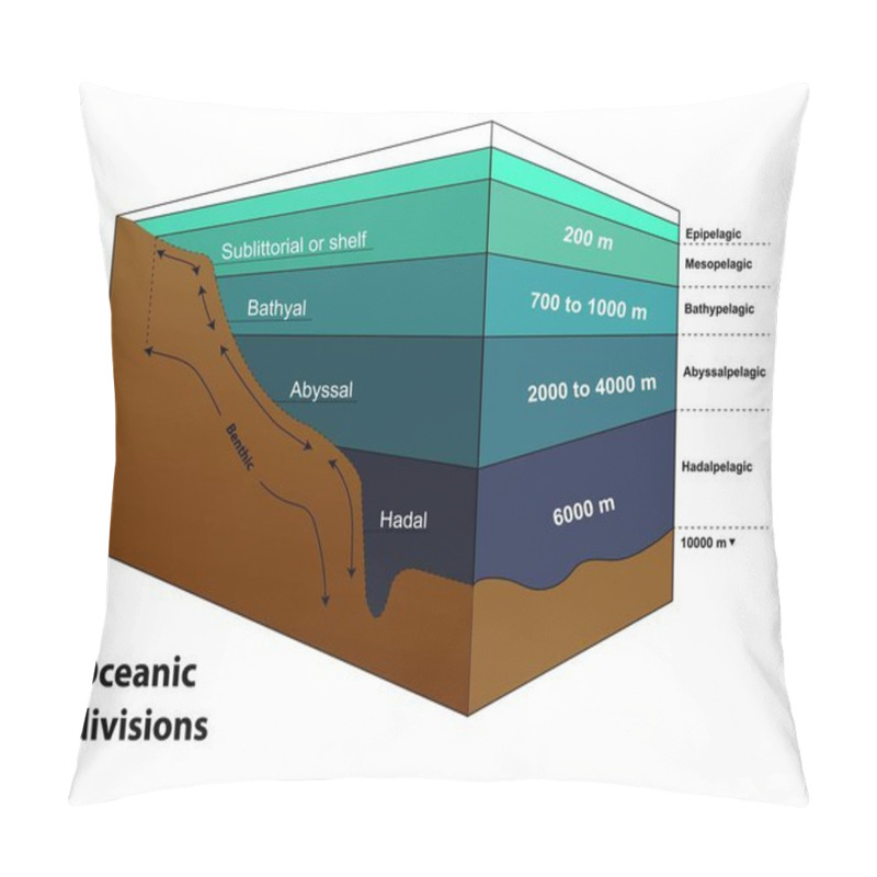 Personality  The Major Oceanic Zones, Based On Depth And Biophysical Conditions Pillow Covers