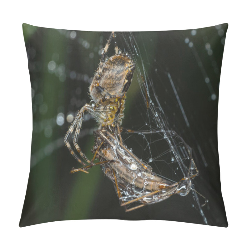 Personality  Side View Of An Introduced Female Cross Orb Weaver Spider (Araneus Diadematus) That Has Trapped And Is Feeding On An Invasive European Crane Fly In Delta, British Columbia Pillow Covers