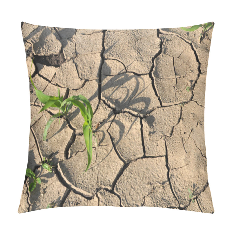 Personality  Cracked Fertile Ground In The Field Due To Heat Pillow Covers