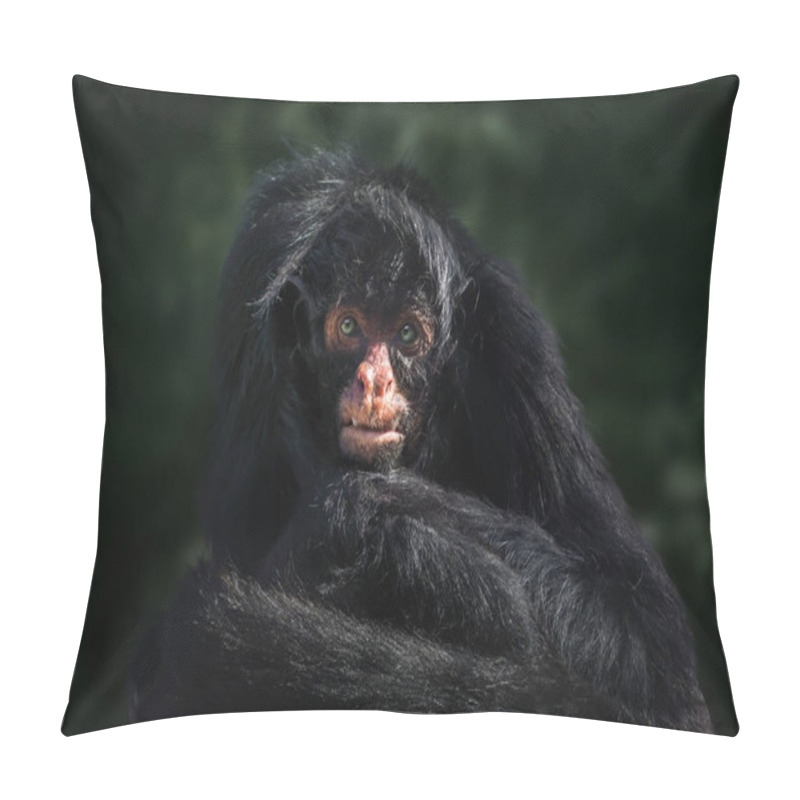 Personality  Black-faced Black Spider Monkey (Ateles Chamek) Pillow Covers