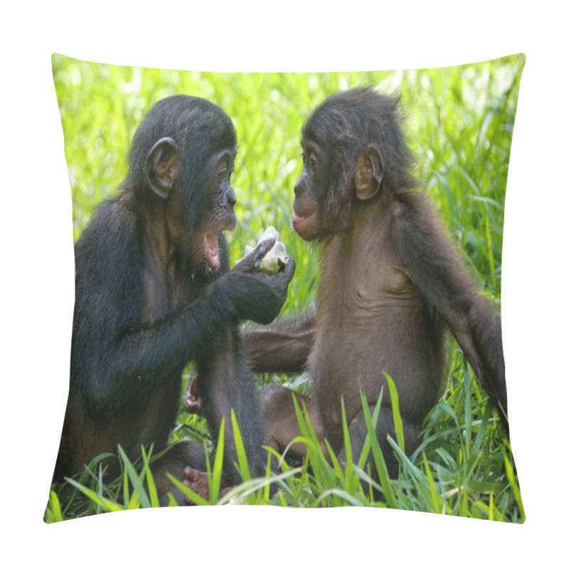 Personality  Baby Bonobo Monkeys Pillow Covers