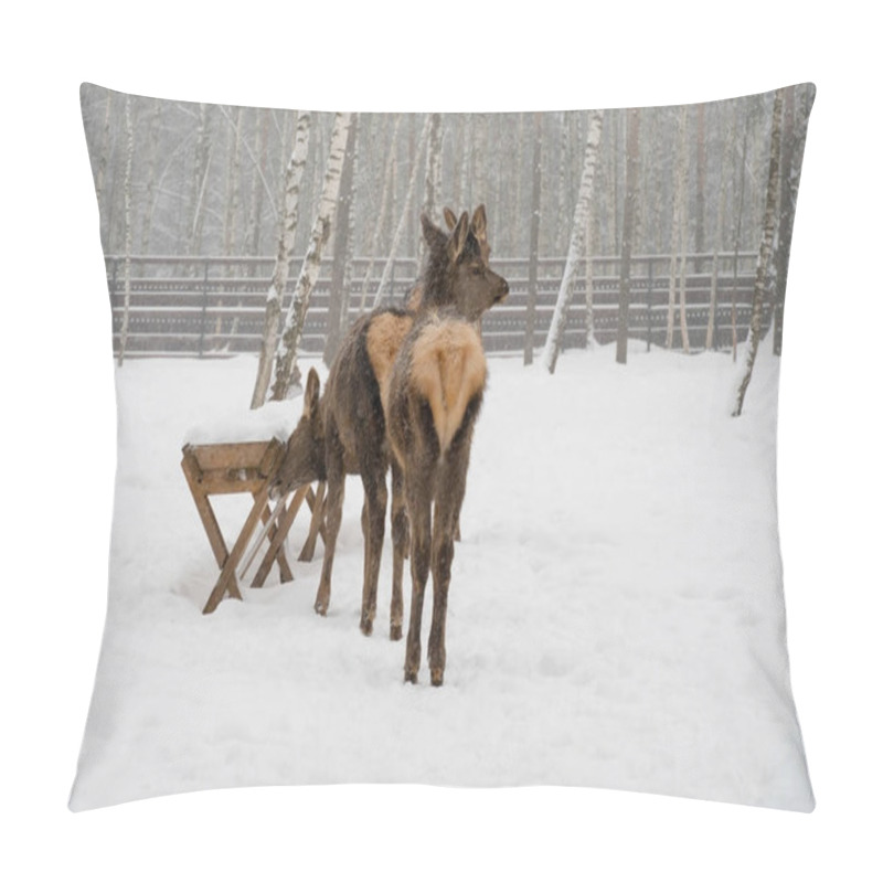 Personality  Two Young Deer Stand In A Snowy Forest Enclosure, Surrounded By Birch Trees And Feeding Stations. This Winter Scene Captures The Deer In A Peaceful, Natural Setting, Ideal For Themes Related To Wildlife And Seasonal Photography Pillow Covers