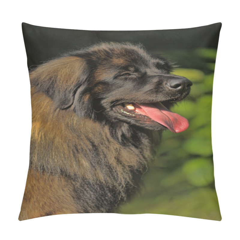 Personality  Beautiful Leonberger Dog Lies In The Forest. Pillow Covers