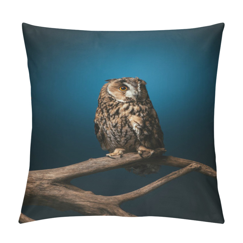 Personality  Cute Wild Owl On Wooden Branch On Dark Blue Background Pillow Covers