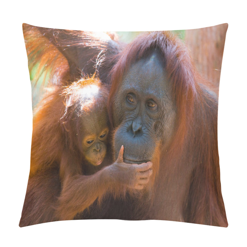 Personality  Orangutan Mother And Baby Pillow Covers