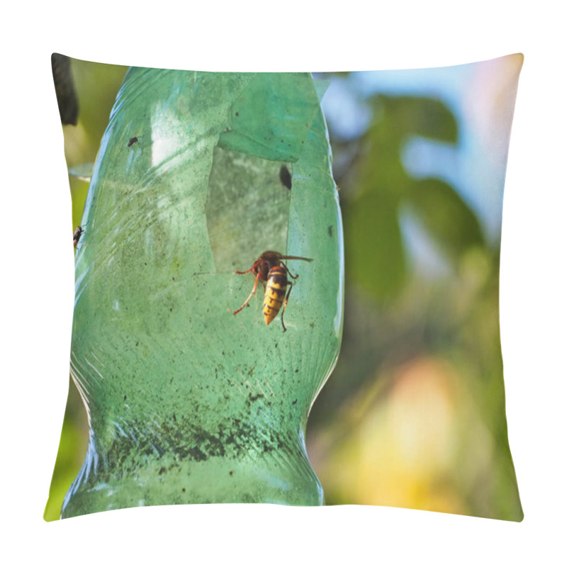 Personality  A Detailed Close-up Image Showcasing A Wasp Captured Inside A Handmade Plastic Bottle Trap, Set Against A Vibrant Natural Outdoor Background. Emphasis On Do-it-yourself Pest Control And Nature Exploration. Pillow Covers