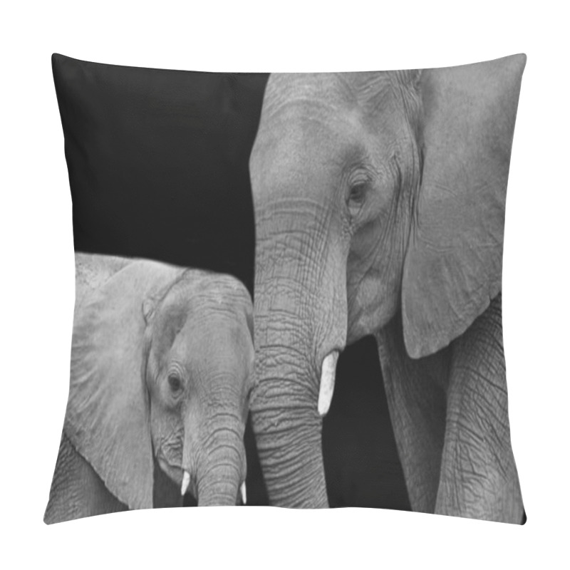 Personality  Mother And Baby Elephant Closeup On The Dark Background Pillow Covers