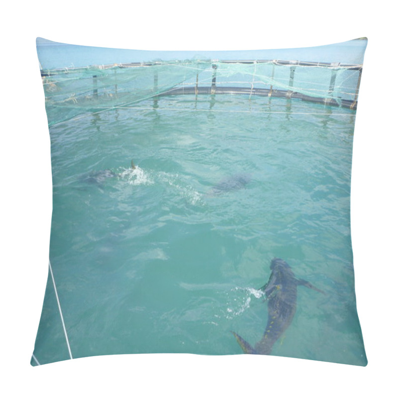 Personality  Cam Ranh, Vietnam - March 16, 2012: Cage Farming Of Yellowfin Tuna In The Bay Of Cam Ranh In Vietnam Pillow Covers