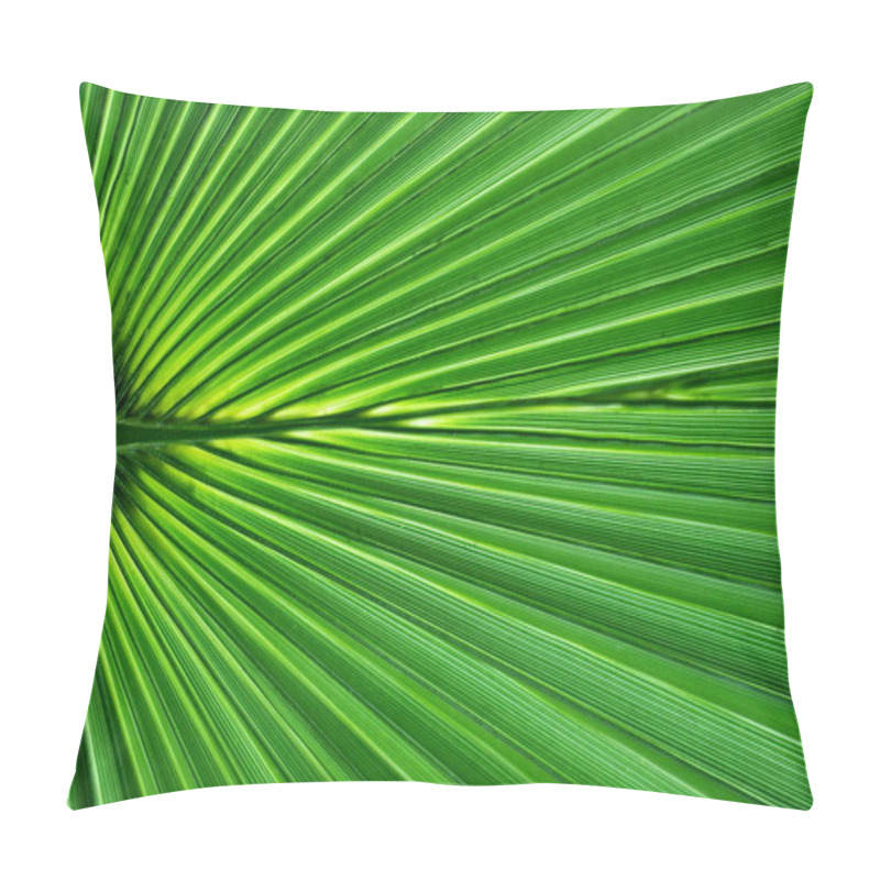 Personality  Symmetric Palm Leaf Close-up Pillow Covers