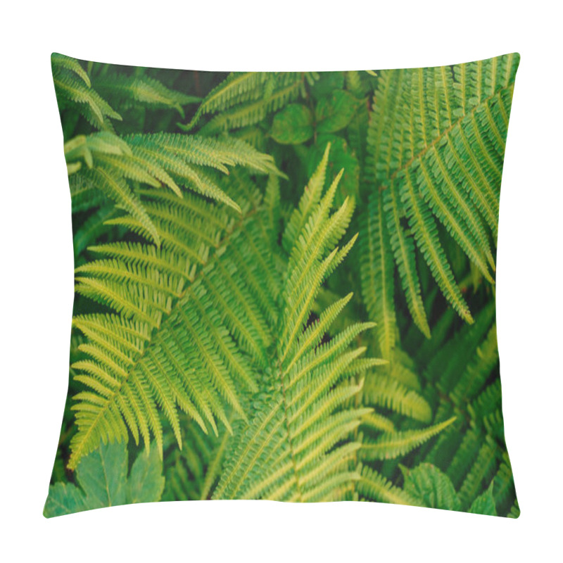 Personality  Green Fern Leaves Texture Pillow Covers