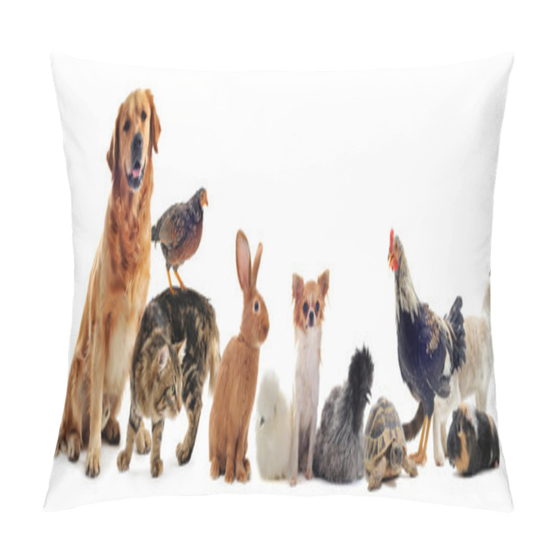 Personality  Group Of Pets Pillow Covers