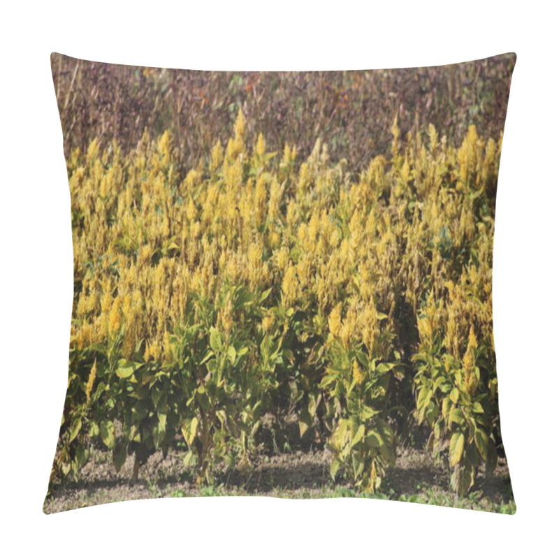 Personality  The Field Is Filled With Clusters Of Bright Yellow Flowering Plants, Thriving Under The Warm Sunlight Of Late Summer, Surrounded By Greenery And Wildflowers. Pillow Covers