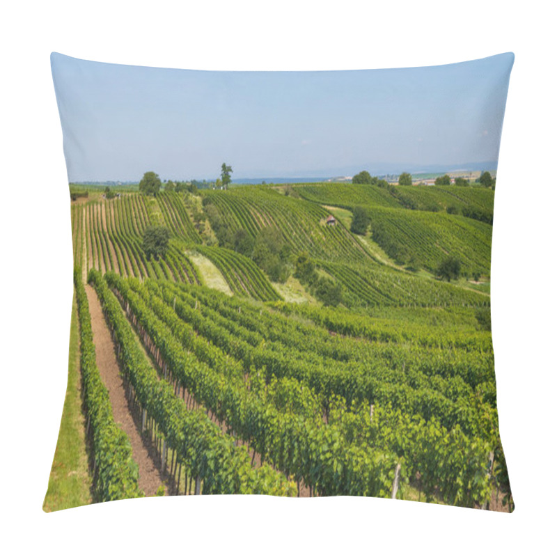 Personality  Landscape With Vineyards, Slovacko, Southern Moravia, Czech Republic Pillow Covers