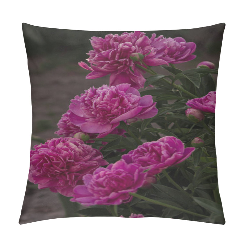 Personality  A Cluster Of Pink Peonies In Full Bloom, Displaying Their Lush Petals And Vibrant Beauty. A Captivating Representation Of Elegance And Natural Charm. Pillow Covers