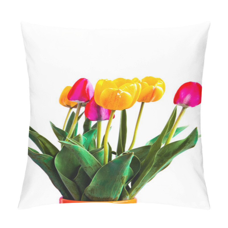 Personality  Tulips Pillow Covers