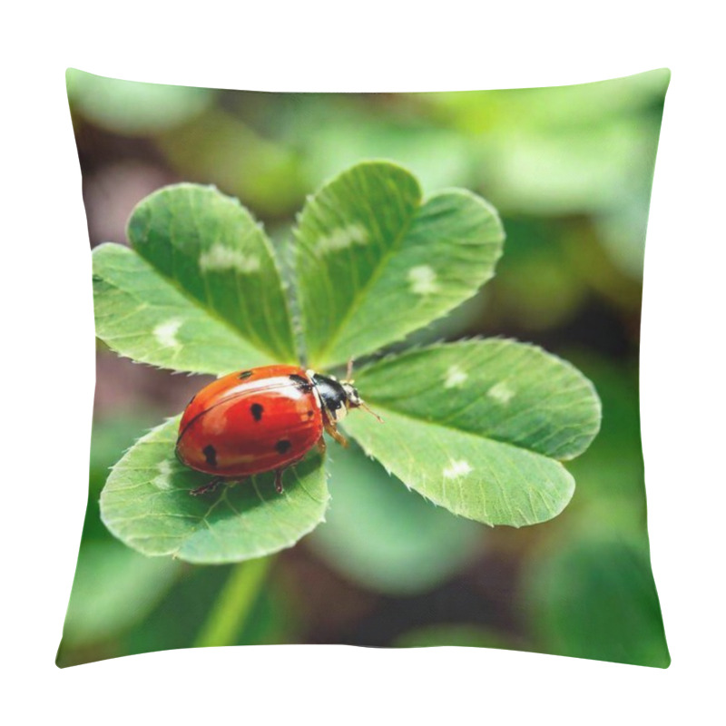 Personality  Extreme Macro Shot, Shamrock Clover Leaf With Ladybug Pillow Covers