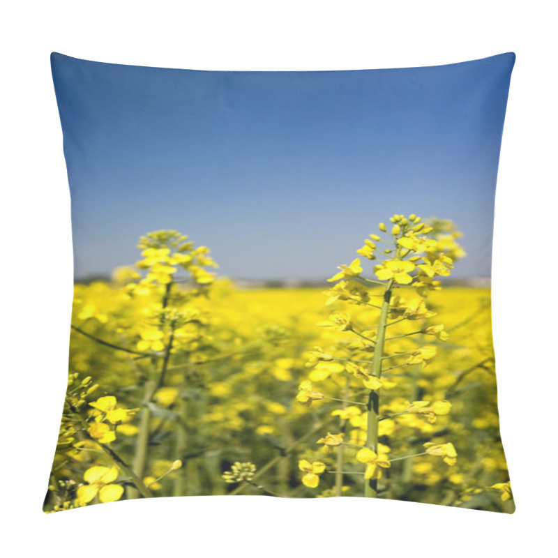 Personality  Flowers Pillow Covers