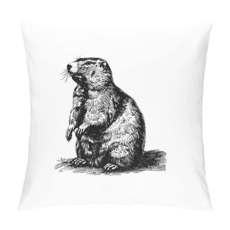 Personality  Vintage Groundhog Standing Illustration In Black And White. Vector Illustration Design. Pillow Covers