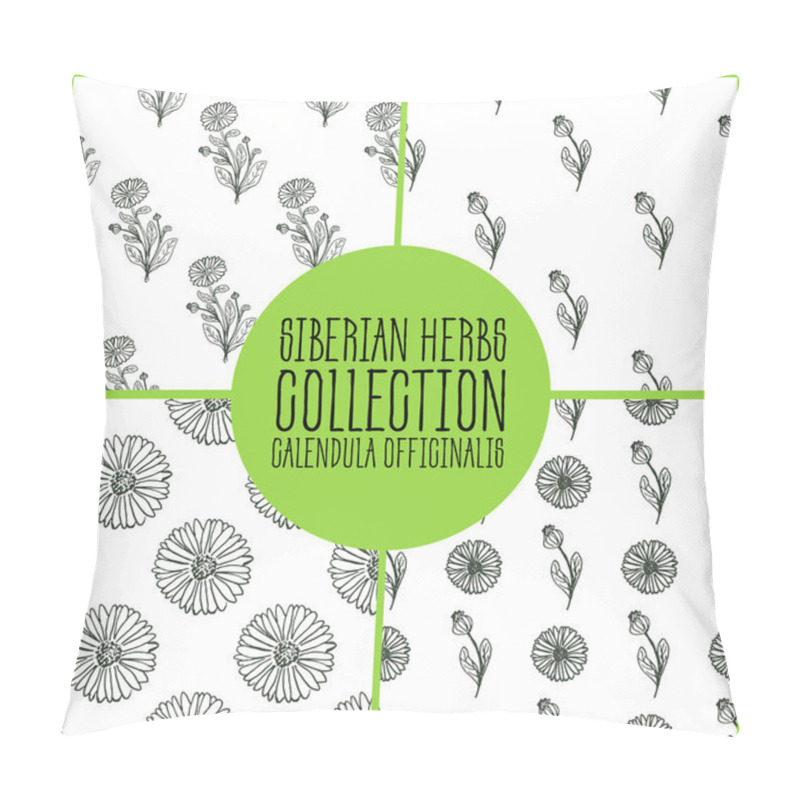 Personality  Handdrawn Illustration - Health And Nature Set Pillow Covers