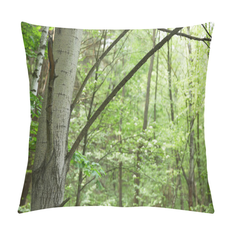 Personality  Birch Trunks And Branches With Green Forest On Background Pillow Covers