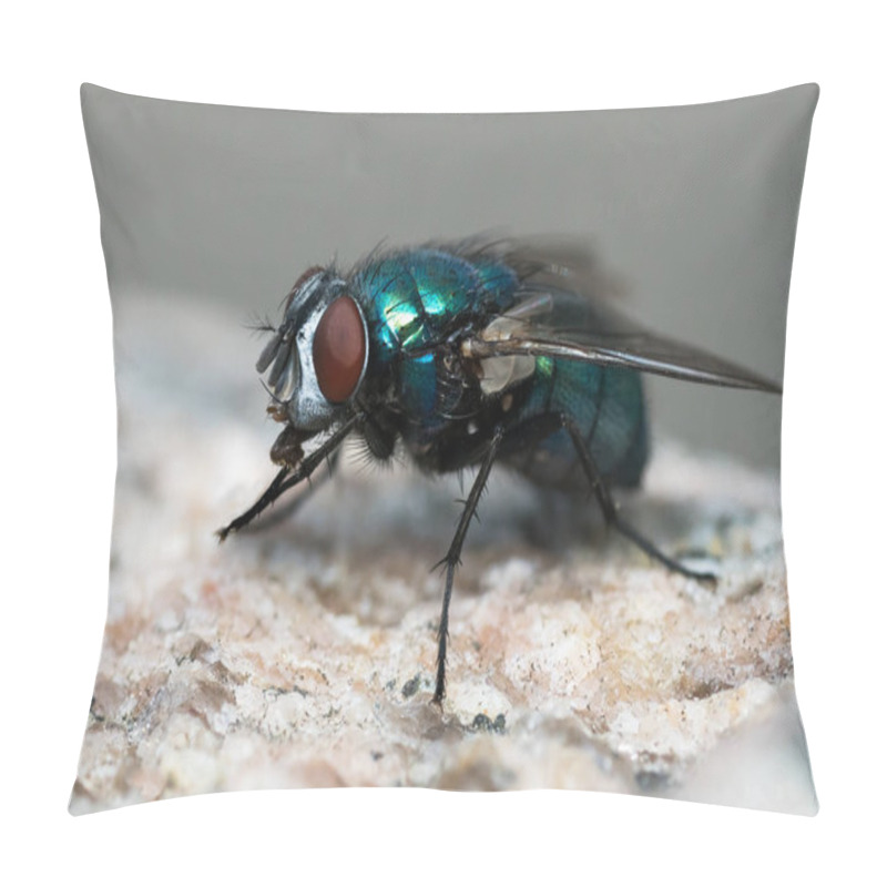 Personality  Green Fly On A Stone Surface Pillow Covers