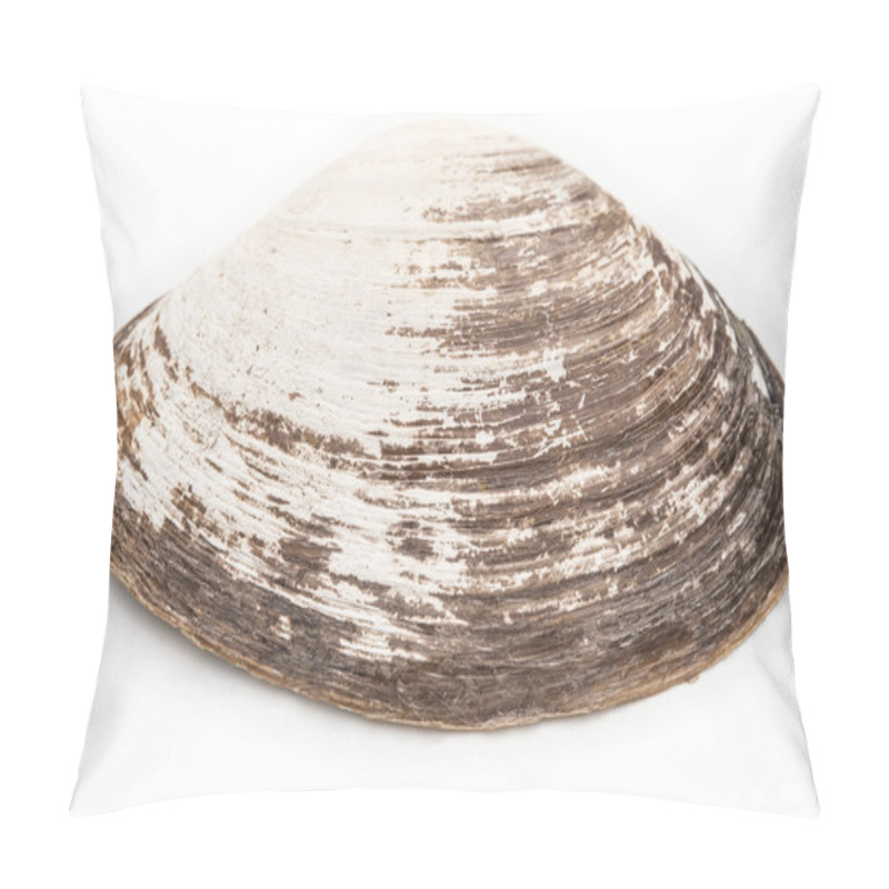 Personality  Fan Scallop On A White Background Pillow Covers