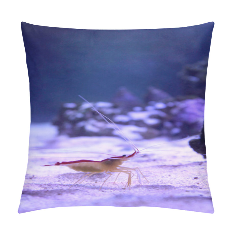 Personality  Vertical Marine Background With Small Shrimp Walking On The Sea Bottom Pillow Covers