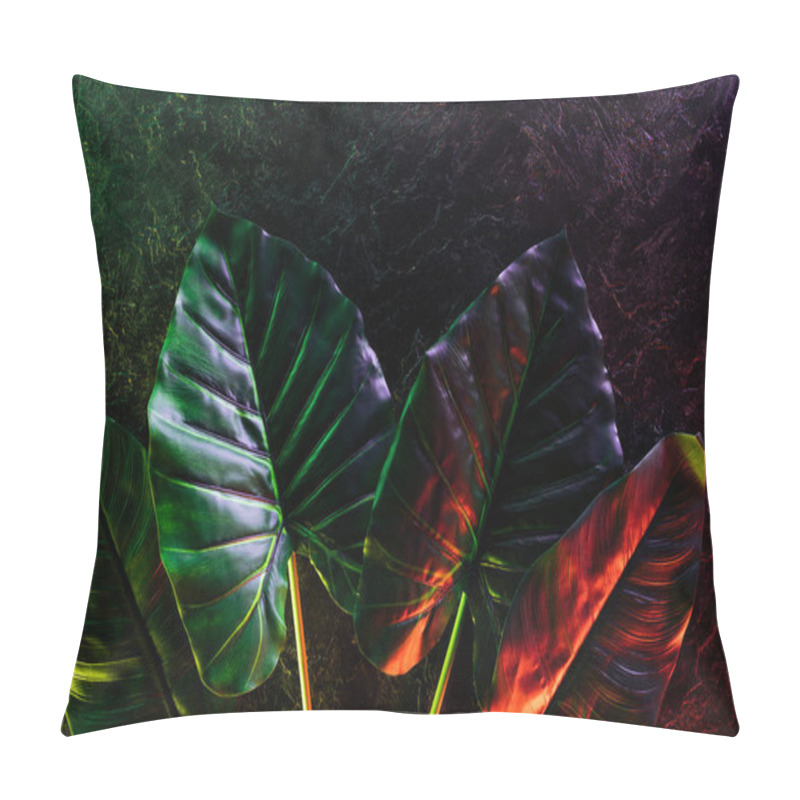 Personality  Flat Lay With Arranged Tropical Leaves Placed In Row With Red And Purple Lighting  Pillow Covers