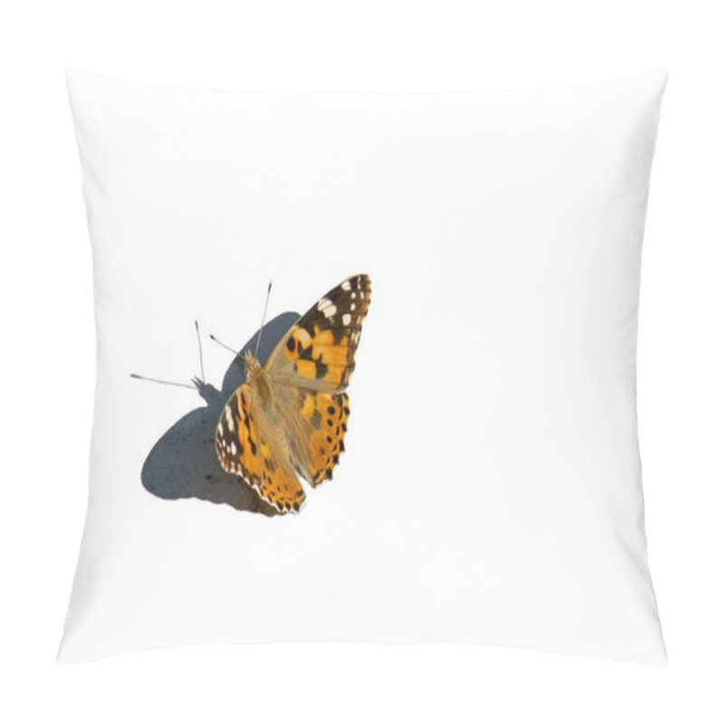 Personality  Butterfly Isolated On A White Background. Top View. Pillow Covers