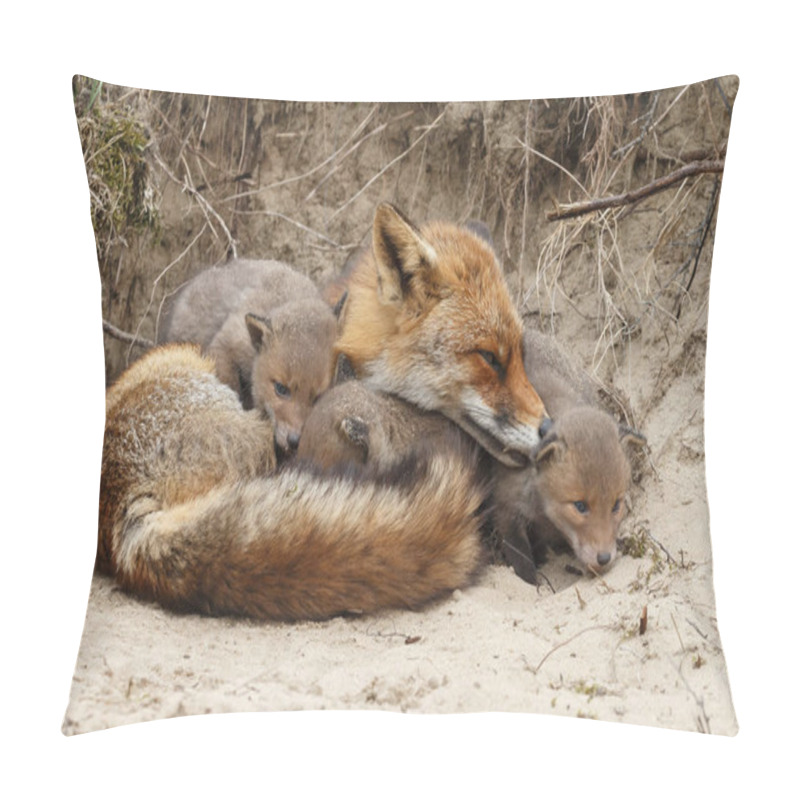 Personality  Mother Fox Resting Near Burrow With Her Cubs Pillow Covers