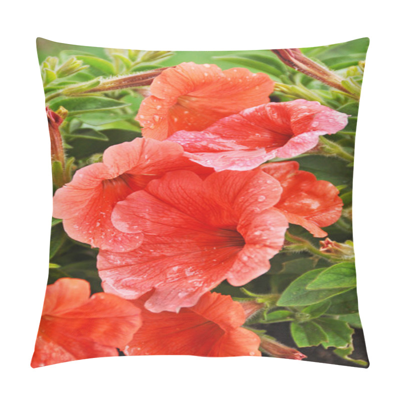 Personality  Red Beautiful Flowers With Drops Pillow Covers