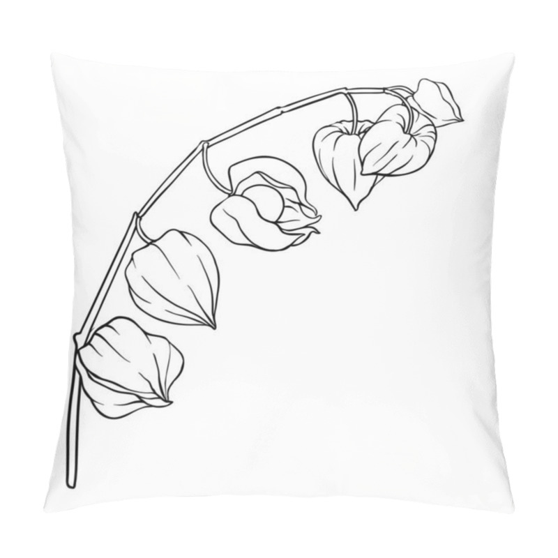 Personality  Phisalis Branch With Berries Outline Illustration. Vector Isolated For Design Or Decoration Pillow Covers