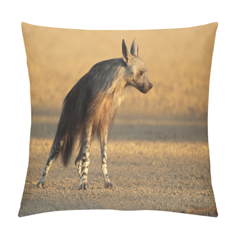 Personality  Brown Hyena Pillow Covers