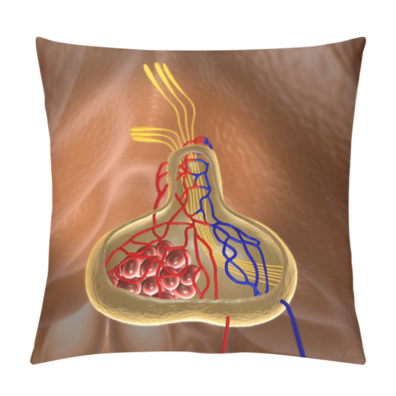 Personality  Pituitary Pillow Covers