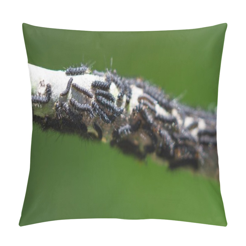 Personality  Caterpillar Infestation On A Plant Pillow Covers