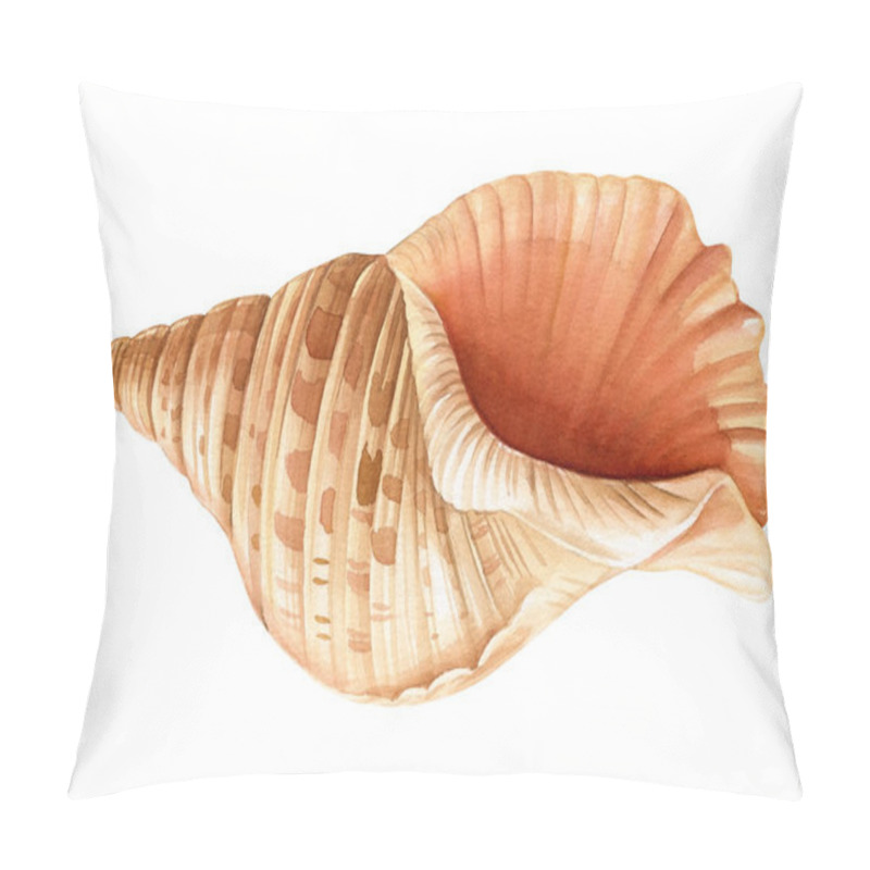 Personality  Watercolor Seashells Set Isolated White Background. Hand Drawn Illustration. Collection Realistic Sea Shell For Design. High Quality Illustration Pillow Covers