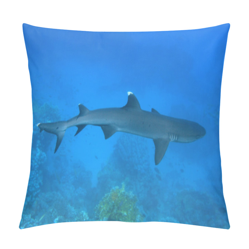 Personality  Shark Pillow Covers