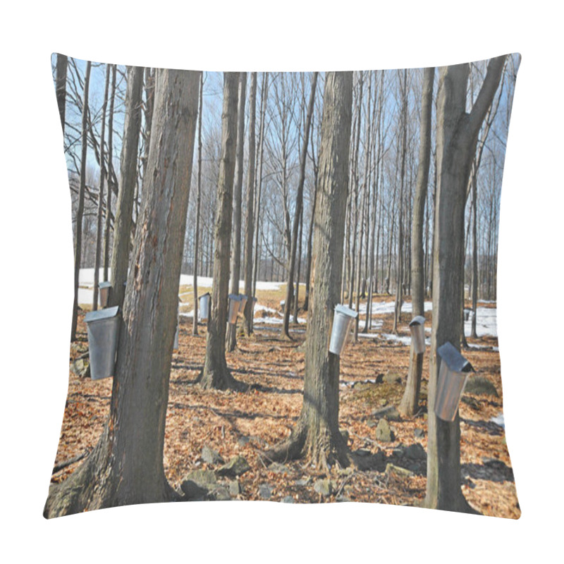 Personality  Early Spring Time Landscape, Eastern Township, Bromont, Quebec, Canada    Pillow Covers