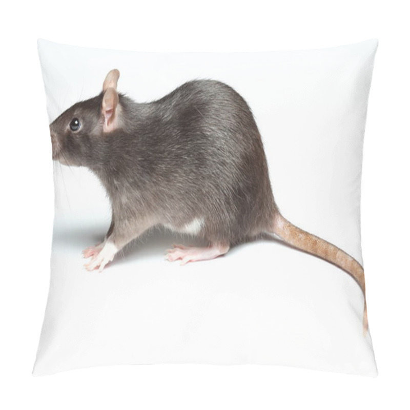 Personality  Rat Over White Pillow Covers