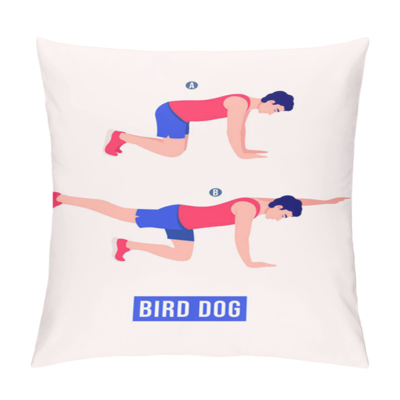 Personality  Men Doing  Bird Dog Exercise, Men Workout Fitness, Aerobic And Exercises. Vector Illustration Pillow Covers