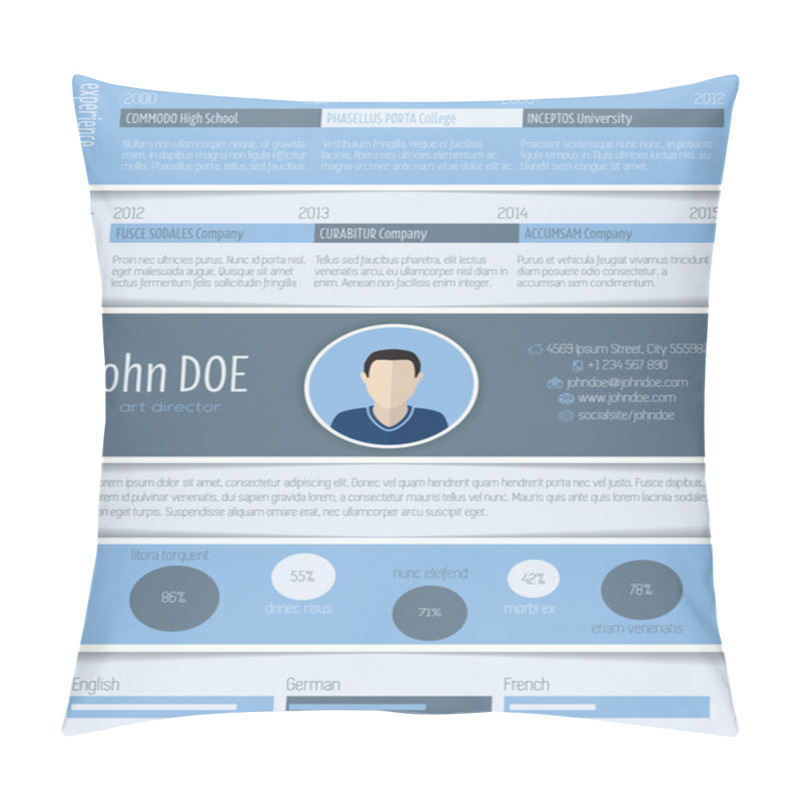 Personality  Blue White Resume Design Pillow Covers