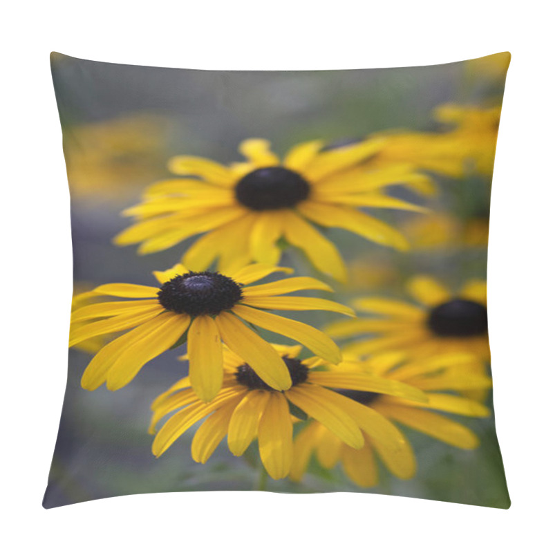 Personality  Rudbeckia Hirta Yellow Flower With Black Brown Centre In Bloom, Black Eyed Susan In The Garden, Bunch Of Flowering Ornamental Plants Pillow Covers