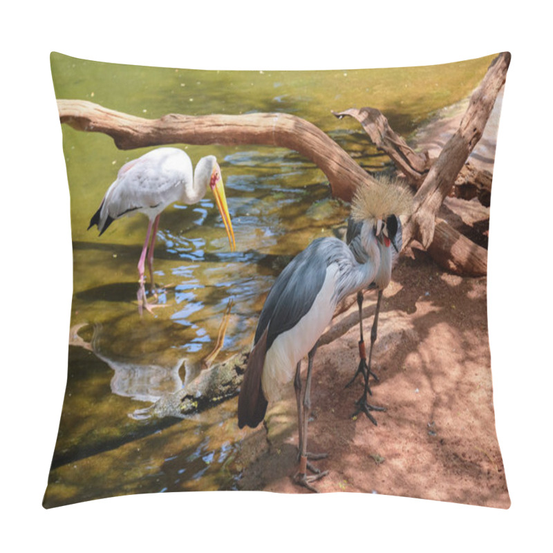 Personality  FUENGIROLA, ANDALUCIA/SPAIN - JULY 4 : Black Crowned Cranes And  Pillow Covers