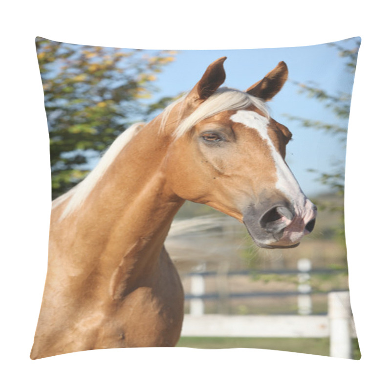 Personality  Amazing Palomino Horse With Blond Hair Pillow Covers