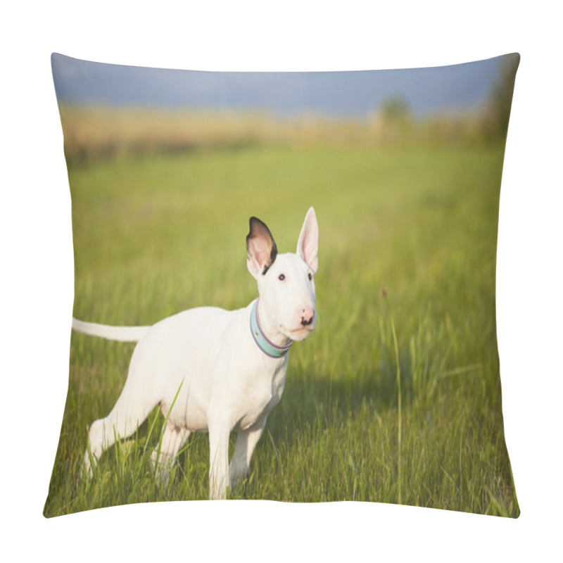 Personality  Bull Terrier Puppy Playing In The Grass Pillow Covers