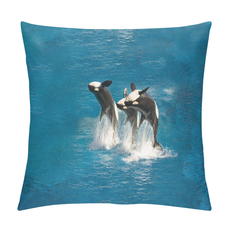 Personality  Breaching Killer Whales Pillow Covers